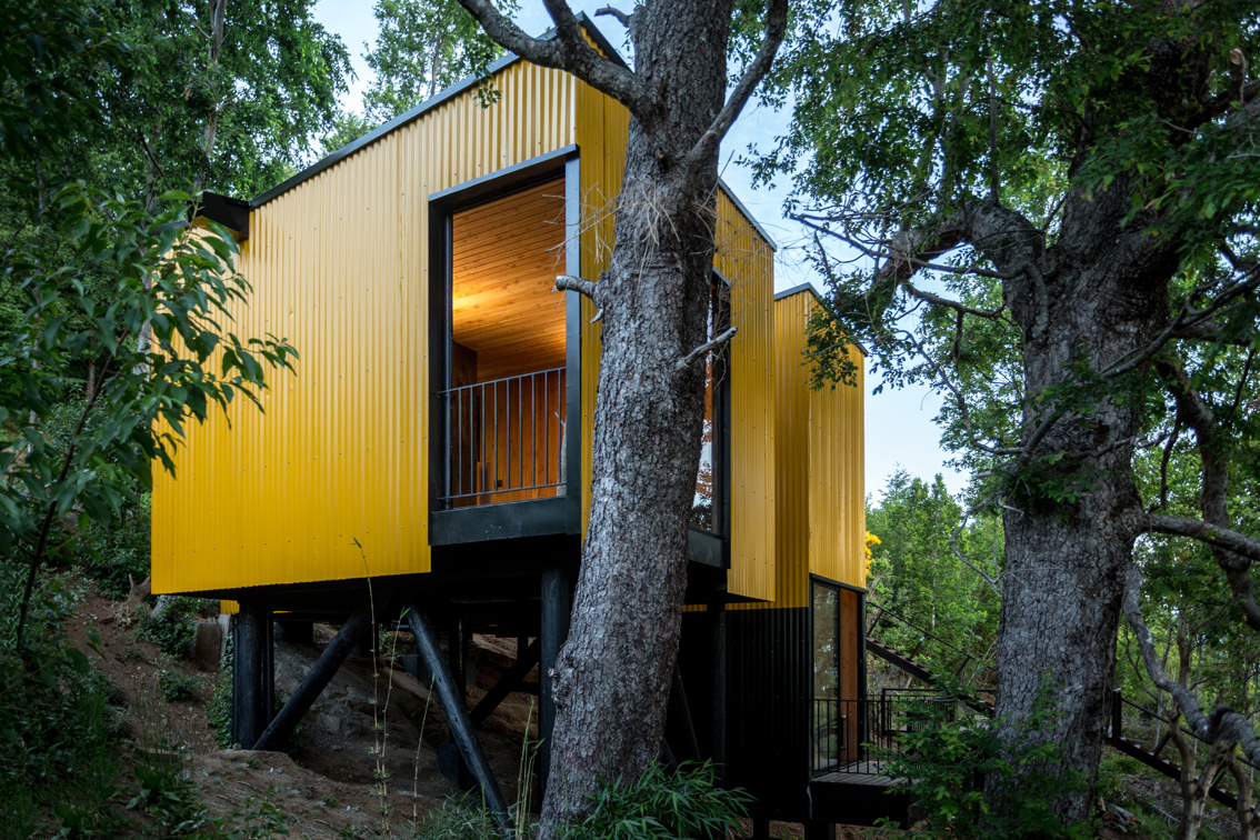 Yellow House — fachada posterior con vegetación, arquitecto Alejandro Soffia